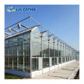 /msite/products/detail/productid/62881644/id/1512459.html
